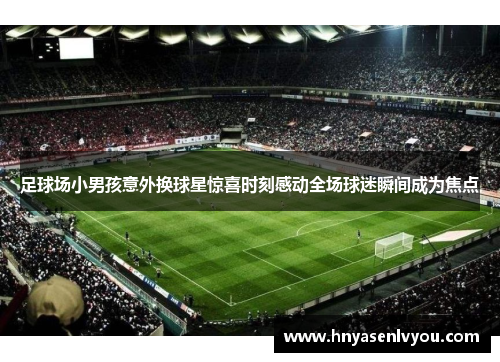 足球场小男孩意外换球星惊喜时刻感动全场球迷瞬间成为焦点